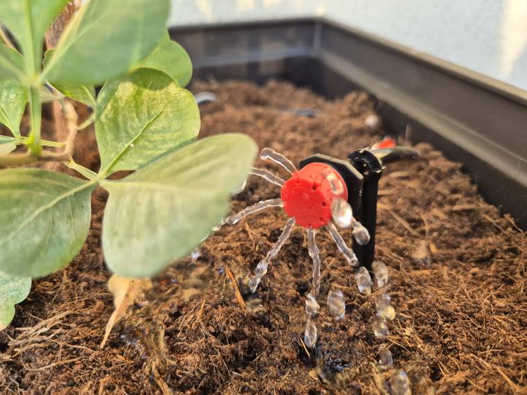 Adjustable red dripper head mid-drip, water beading off it in a planter