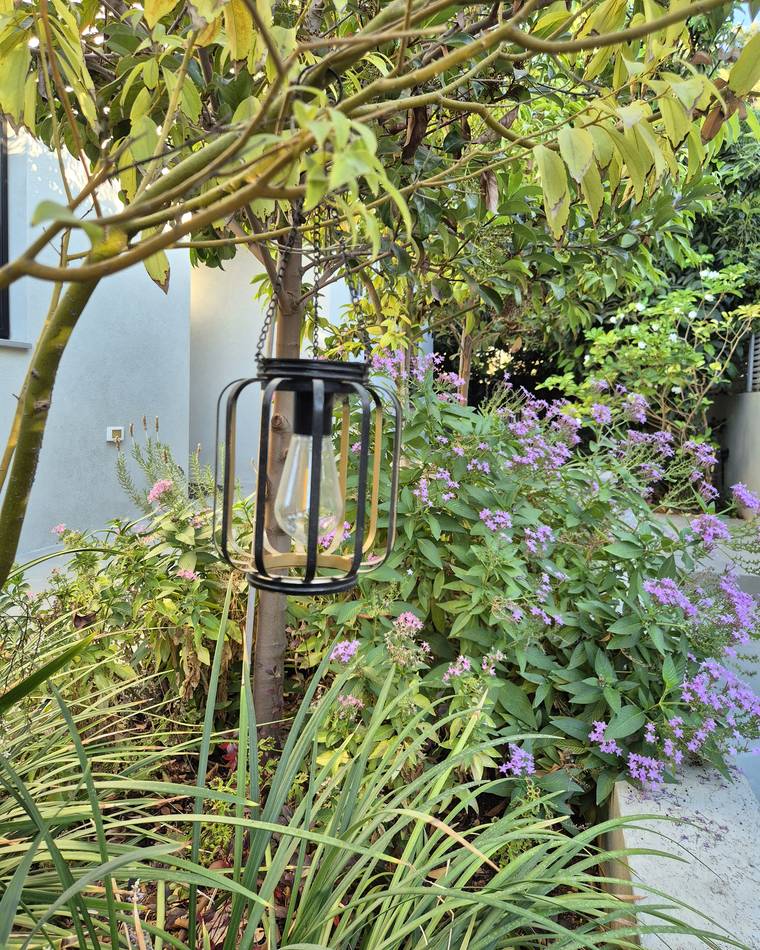 The solar lantern hanging from a tree branch over a flower bed with purple verbena