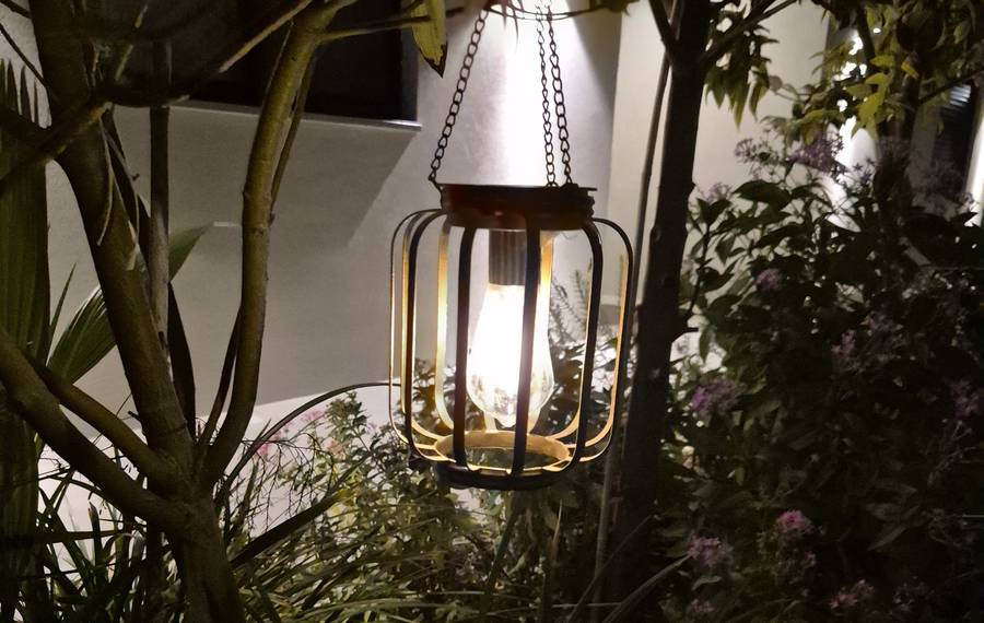 The same solar lantern glowing warm white after dark among the plants