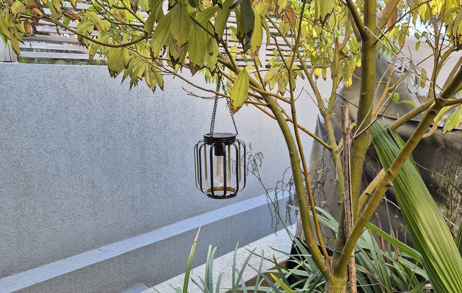Our solar lantern hanging under a tree canopy in partial shade, garden wall behind