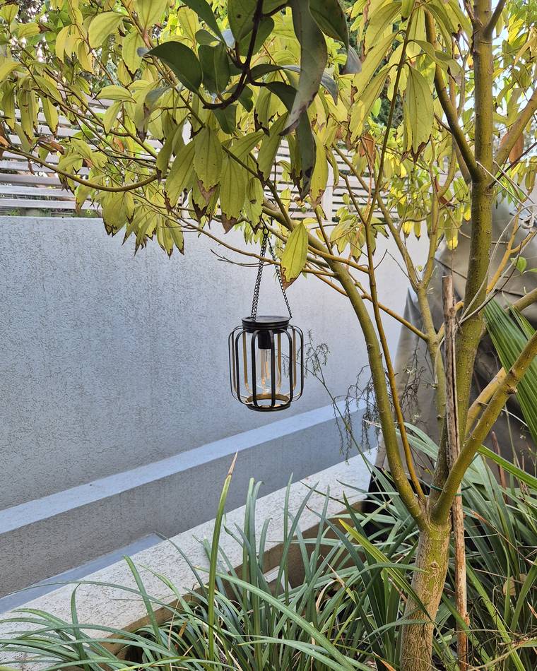 The same solar lantern seen from the path, hanging under the tree canopy